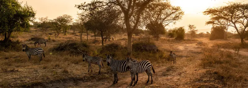 Lake Mburo wildlife safari