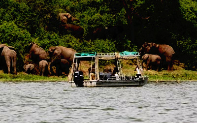 Boat cruise beside elephants
