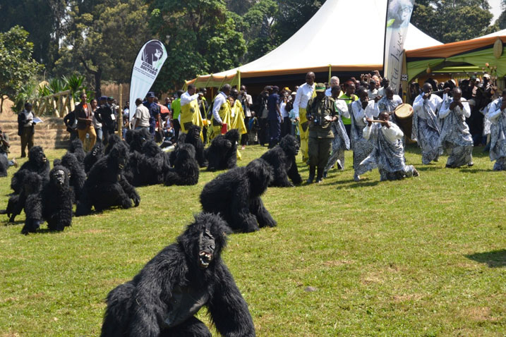 Kwita Izina 2016: Rwanda’s Gorilla Naming Ceremony