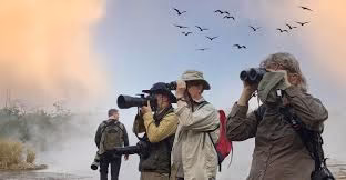 Birding in Uganda