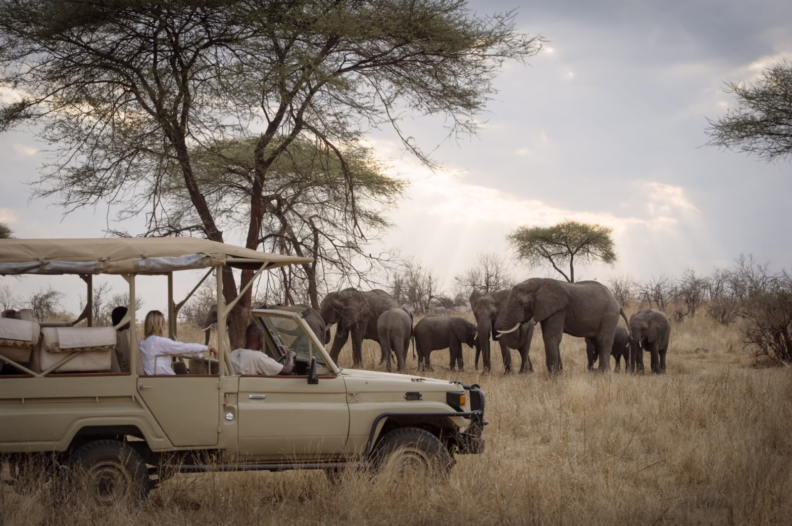 Budget Safari in Africa