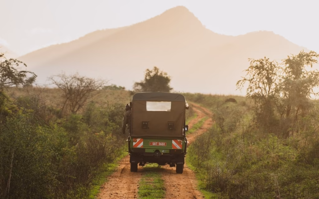 Distance Between Volcanoes National Park and Bwindi Forest National Park