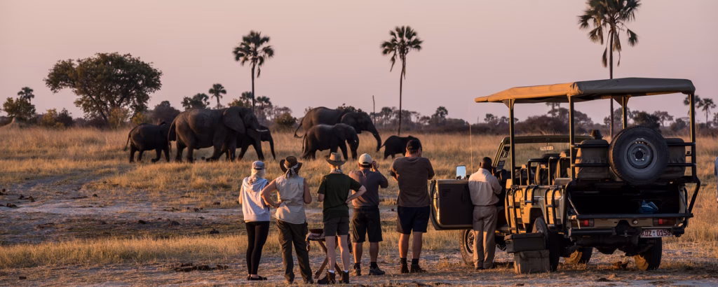 When Is the Best Time to Go on Safari in Africa?
