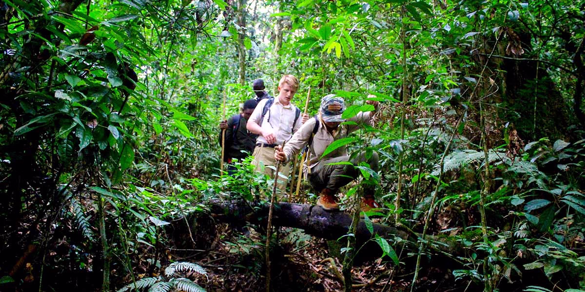 11 Interesting Facts About Nyungwe Forest National Park