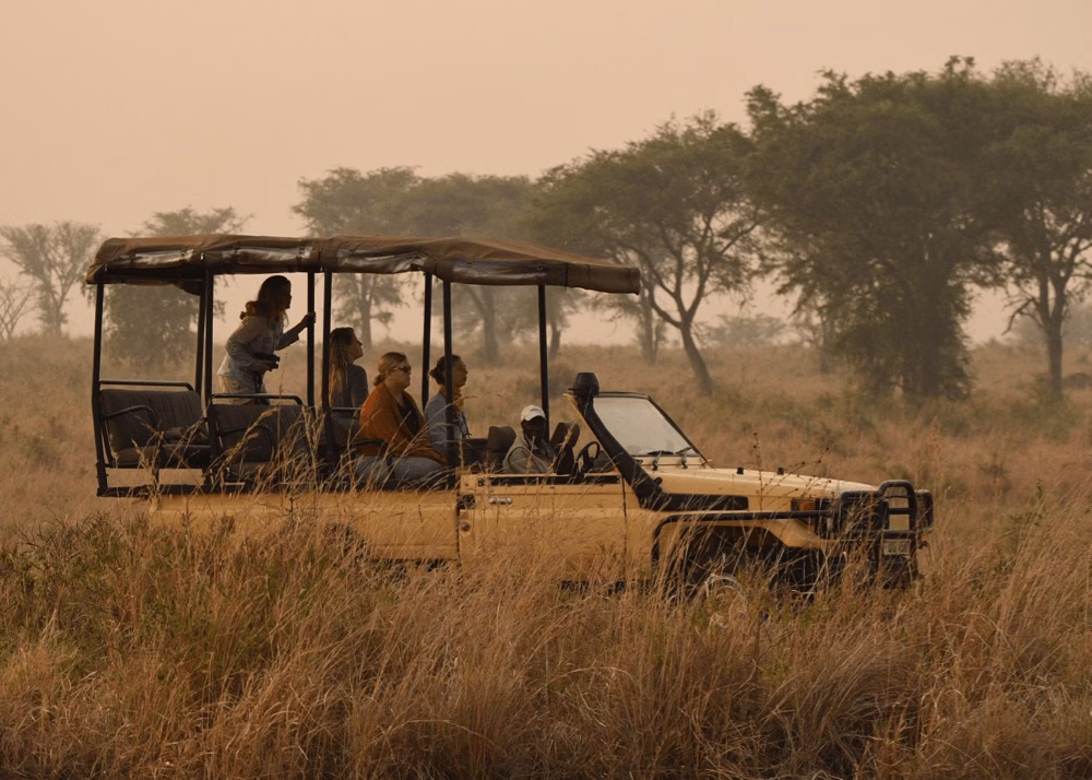 Game Drive Safari in Uganda