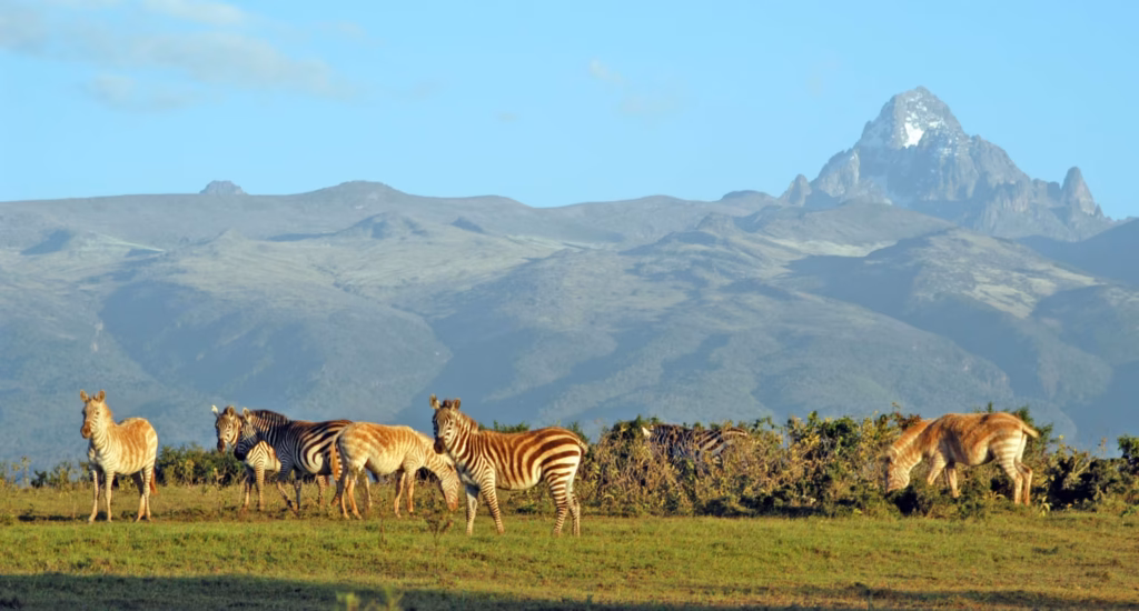 Exploring the Wonders of Mount Kenya