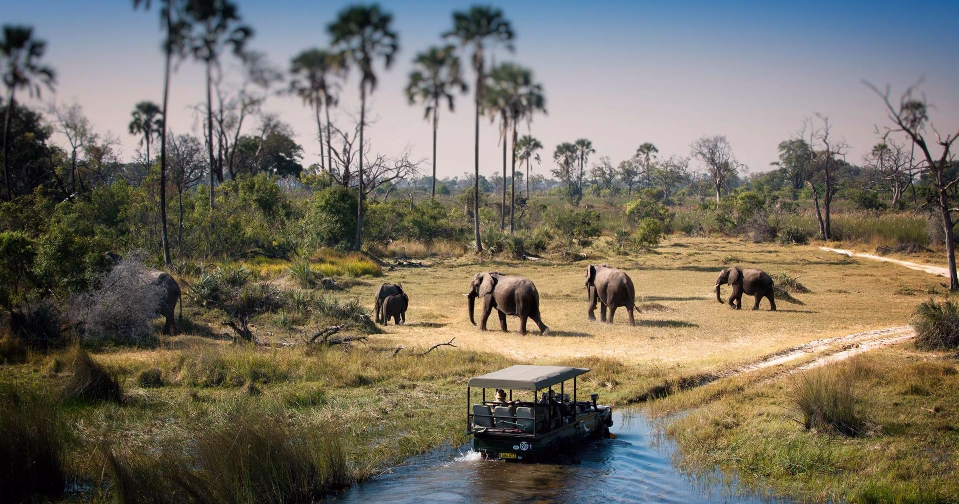 Best Botswana national parks for safari