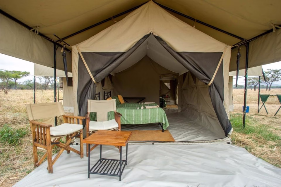 safari accommodation