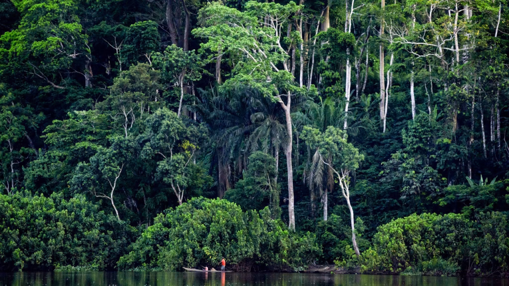 Top 5 Reasons to Travel to Congo