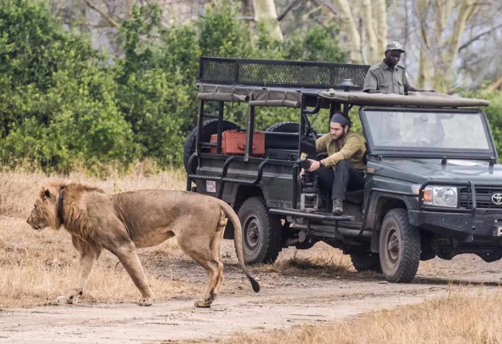 Top Ecotourism Destinations in Africa for 2025