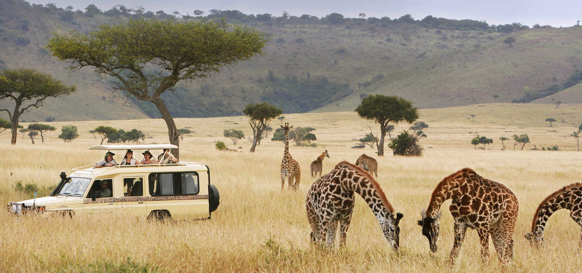 East Africa safari destinations by month