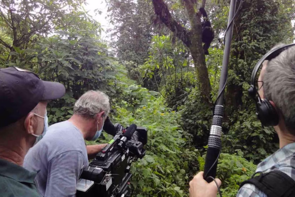 Filming-In-Uganda-National-park-_-Realm-Africa-safaris Filming-In-Uganda-National-park-_-Realm-Africa-safaris