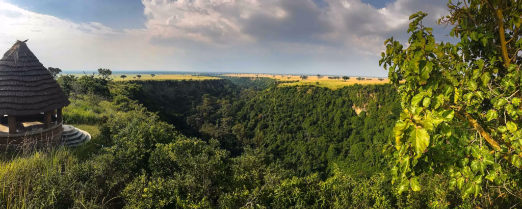 How Many Game Reserves Are in Uganda?