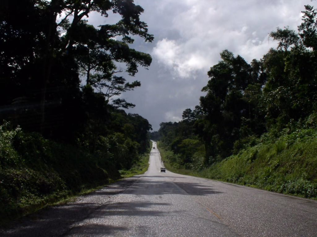 How to Get to Mabira Forest.