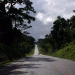 How to Get to Mabira Forest.