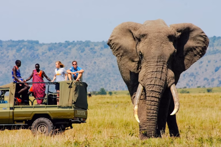 Essential Travel Tips for Visiting Kenya