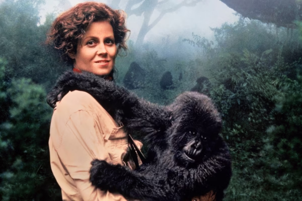 h0znECU2ha43jhPfhwKB2qJX2M2_trans_NvBQzQNjv4BqLUm2LqZ7QfPrWh62iB90NVTmGTZwRSZcqbDiPNar8DA h0znECU2ha43jhPfhwKB2qJX2M2_trans_NvBQzQNjv4BqLUm2LqZ7QfPrWh62iB90NVTmGTZwRSZcqbDiPNar8DA