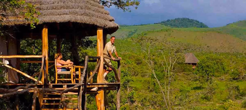 5 Reasons to Visit South Africa in 2025
