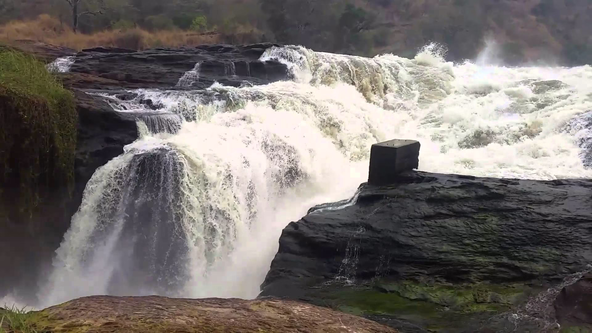 Safari Tours in Uganda 