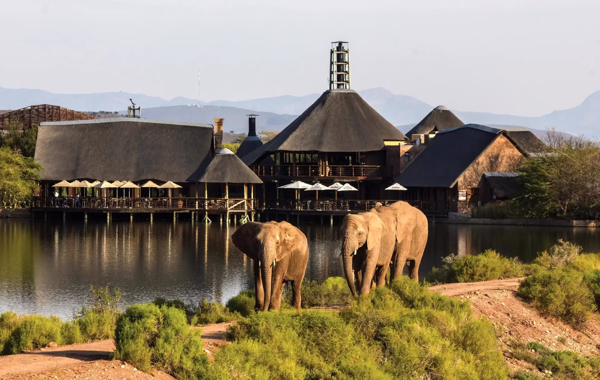 safari parks near Johannesburg