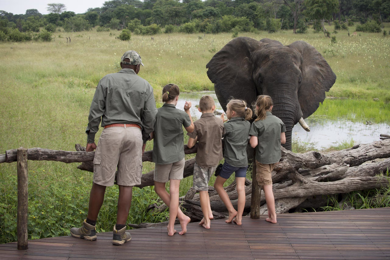 family safari tips