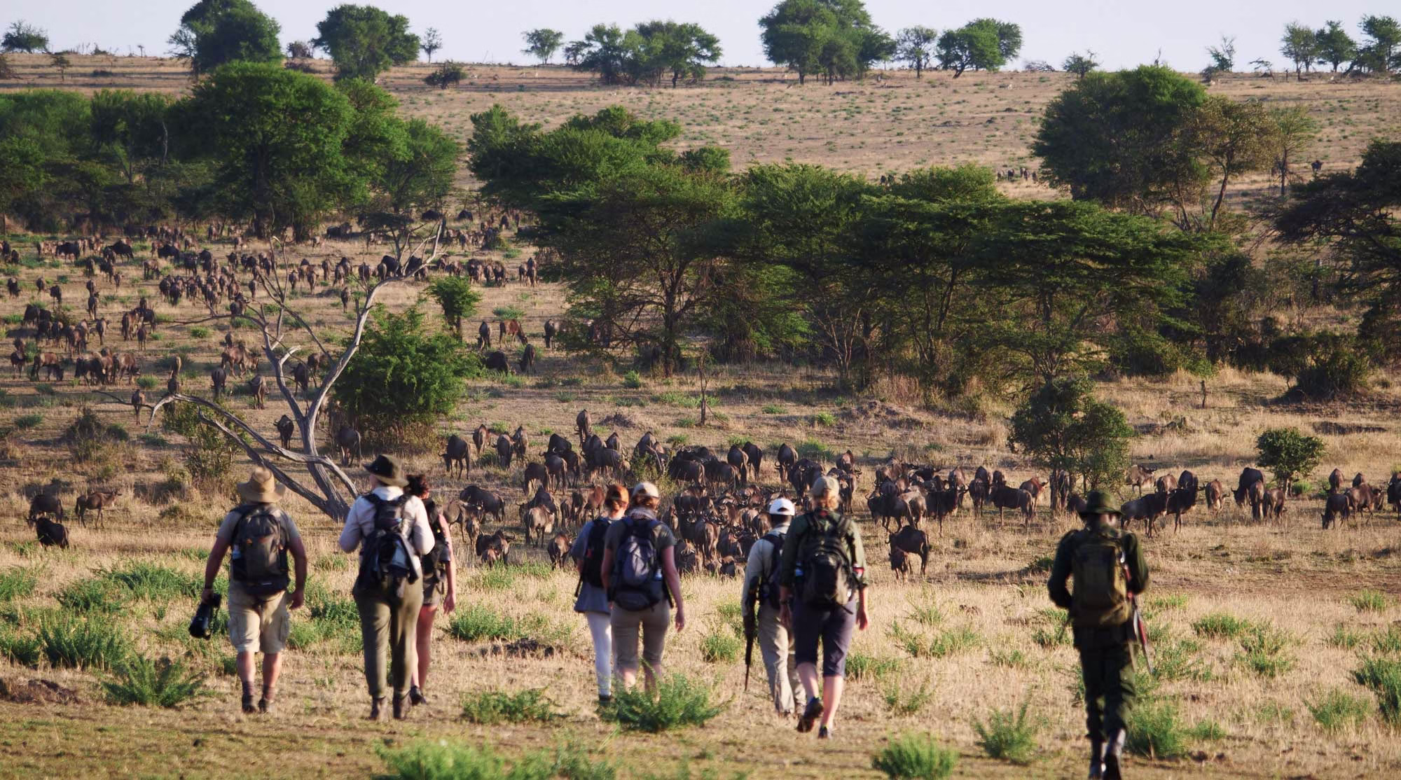 Nature Walks in Serengeti National Park