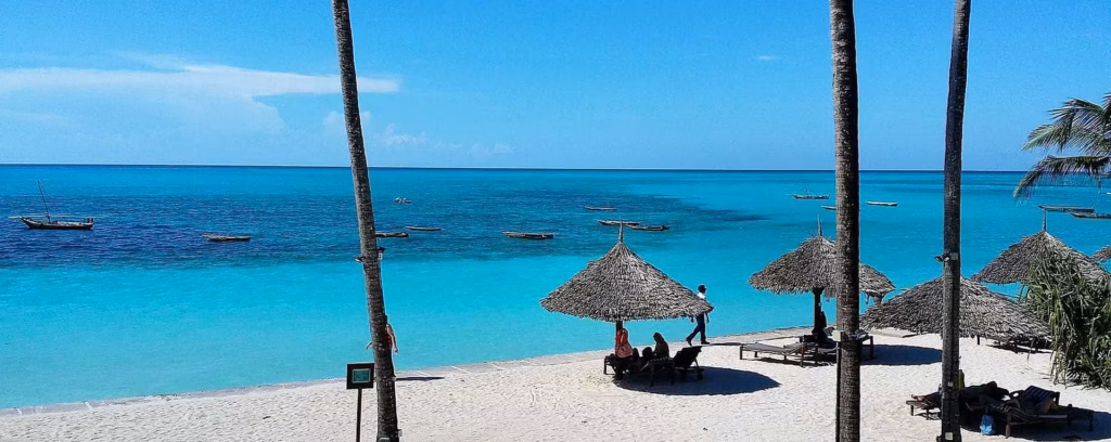 Best Time to Visit Tanzania and Zanzibar