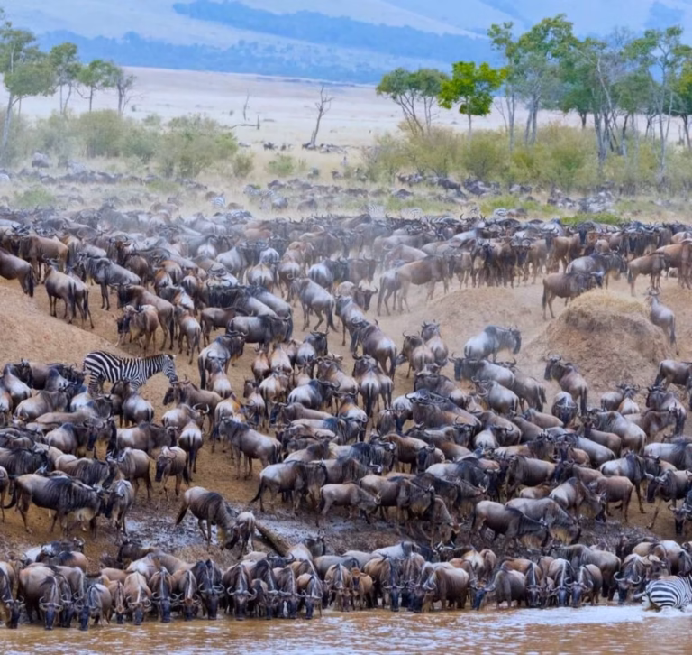 Tanzania Travel Guide: Everything You Need to Know