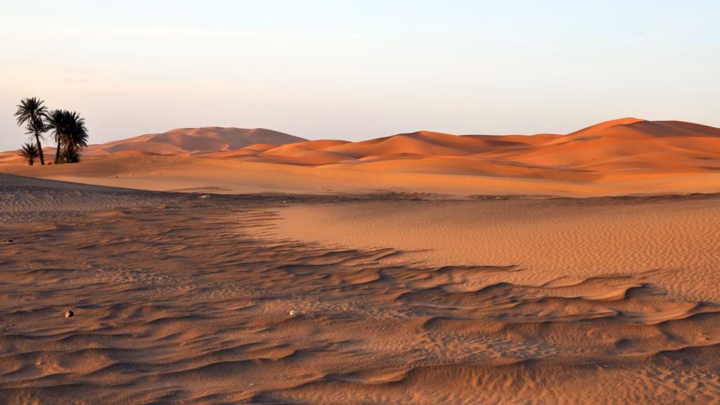 Fascinating Facts About Africa. 60+