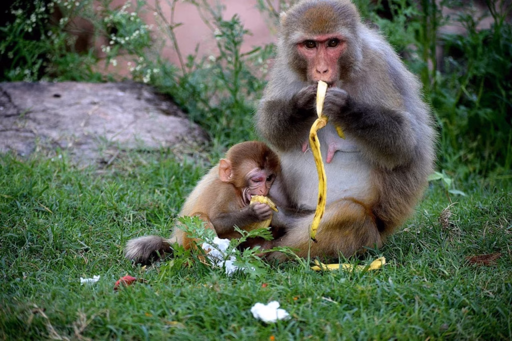 10 Things Not to Do on a Safari.