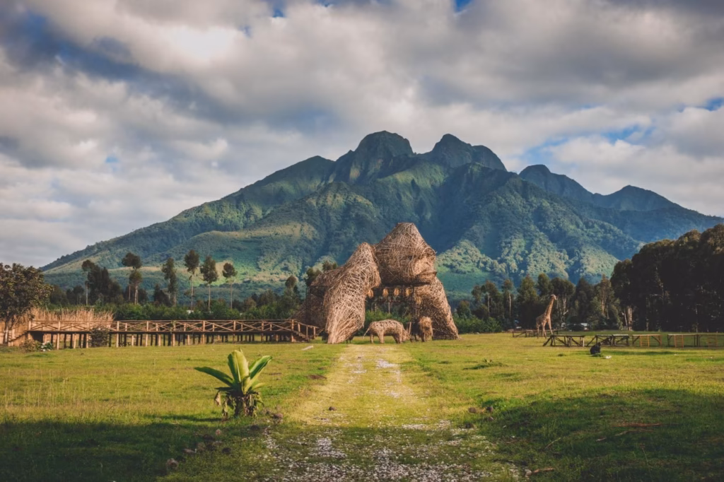 Interesting Facts About Volcanoes National Park.