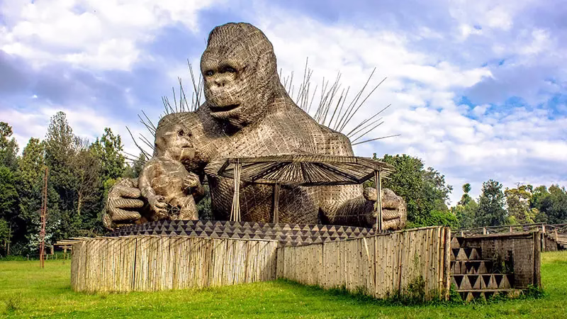 Where Do Gorillas Get Their Name From? A Look at Gorilla Naming