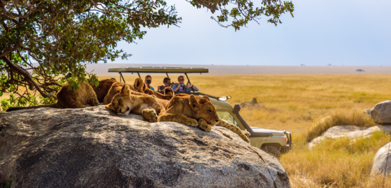 The History of Safari in Africa.