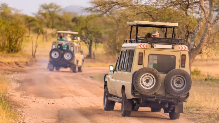 What to Expect on Safari in Kenya