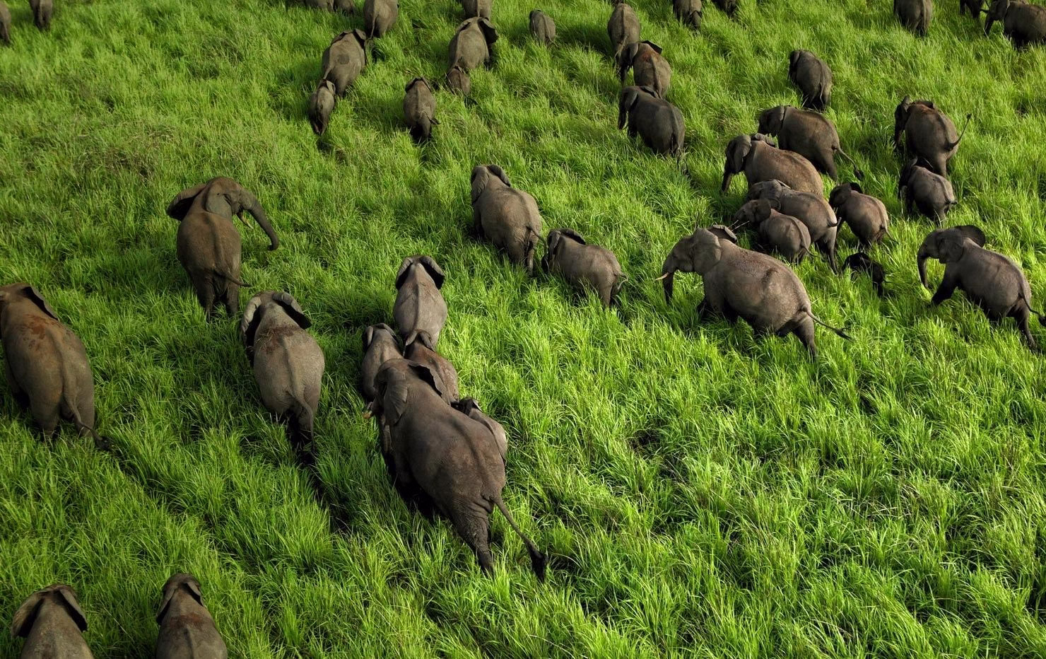 Garamba National Park