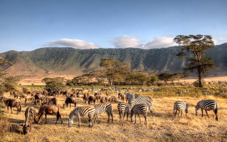 9 Things Nobody Tells You About Traveling in Tanzania
