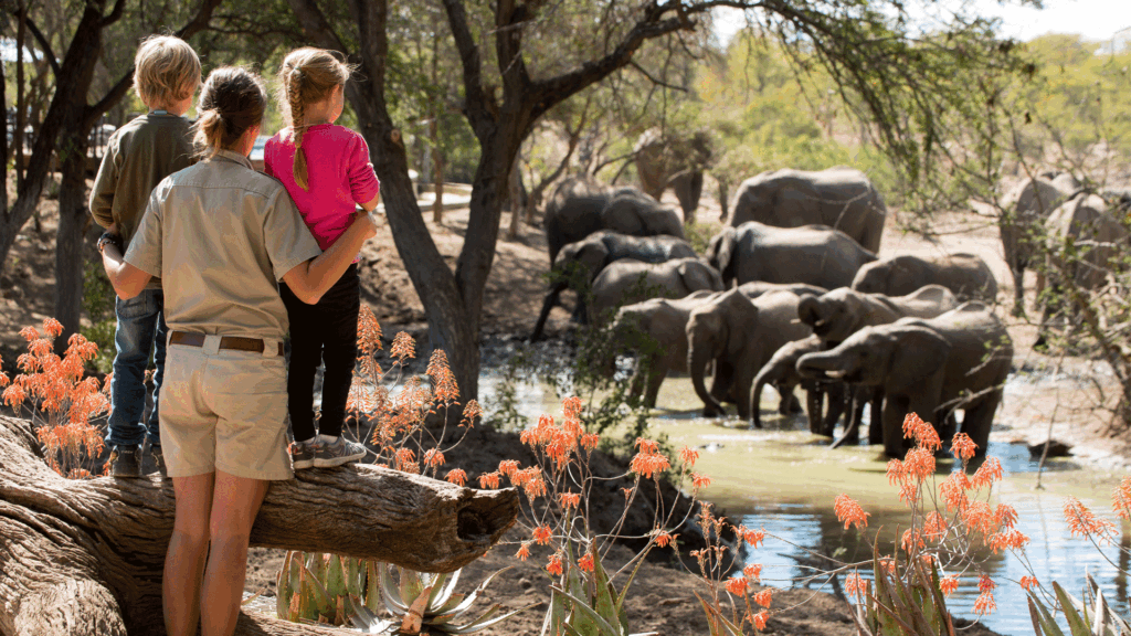 African Family-Friendly Safari Destinations