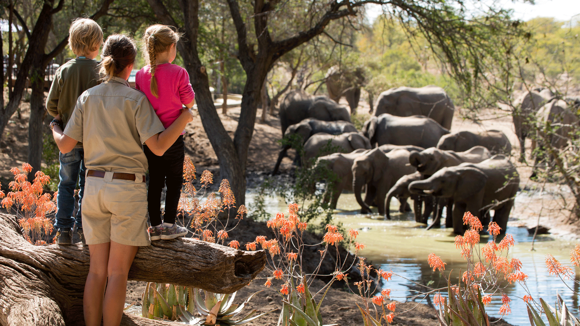family-friendly safari Africa