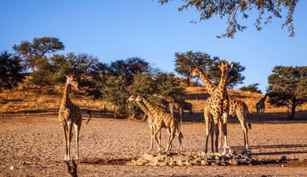 Before You Go: Things You Need to Know About Tanzania