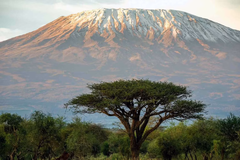 Top 4 Best National Parks in Kenya.