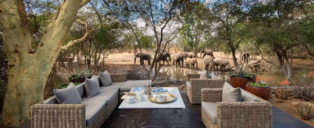 Luxury vs. Budget Safaris: Which African Adventure is Right for You?
