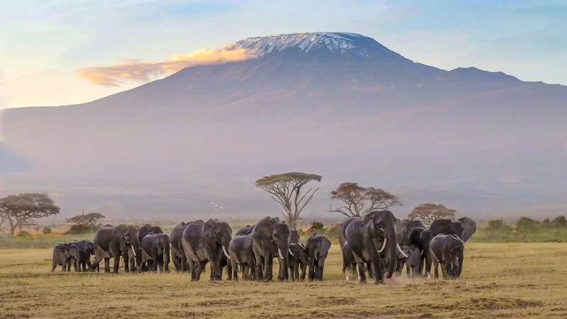 how to get to Amboseli