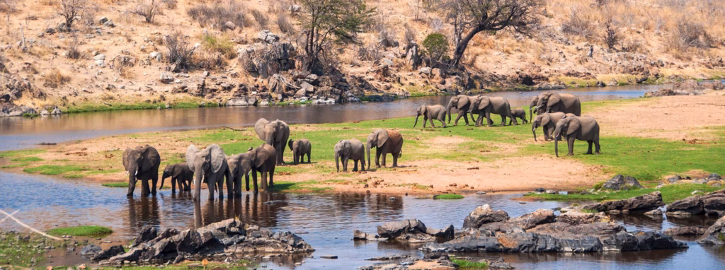 5-Day Ruaha National Park and Mikumi Wildlife Safari Itinerary