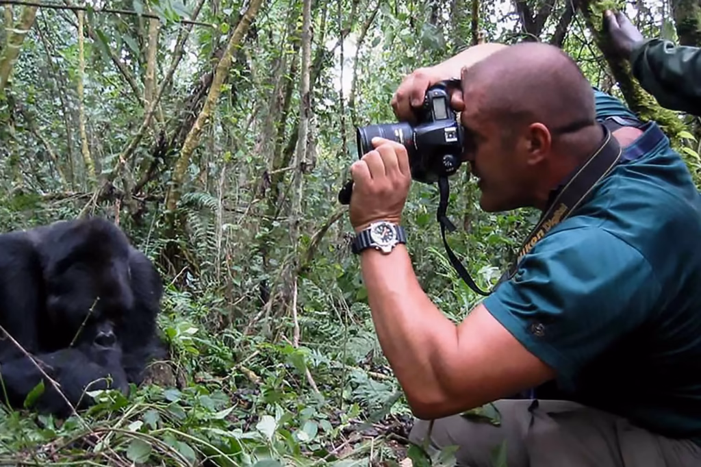 How to Capture the Perfect Gorilla Encounter on a Uganda Safari