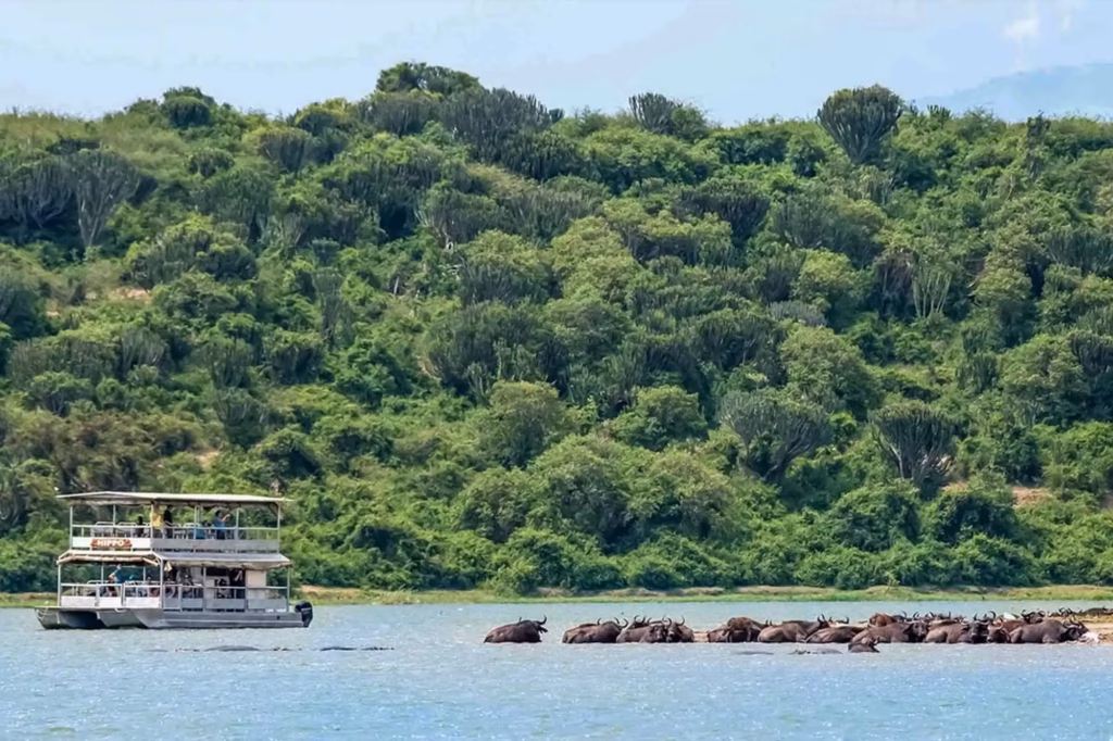 The Top Tour Operators in Uganda
