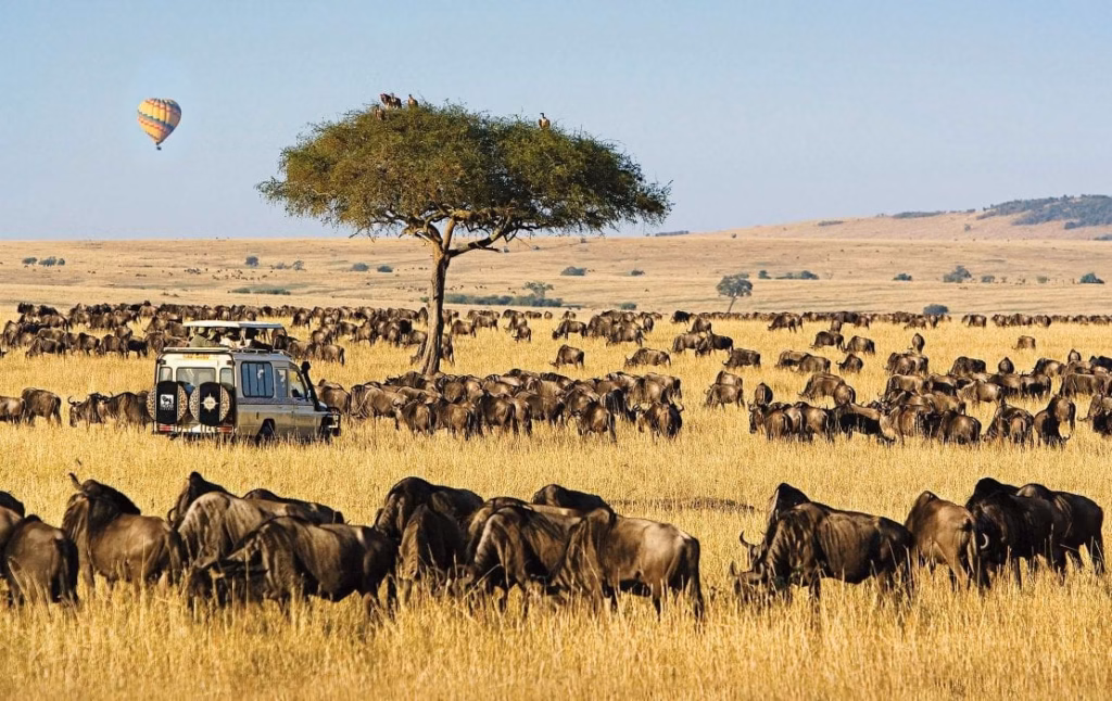 How to Get to Maasai Mara National Reserve
