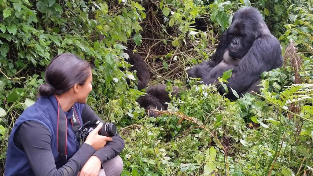 Is There a Gorilla Habituation Experience in Rwanda?