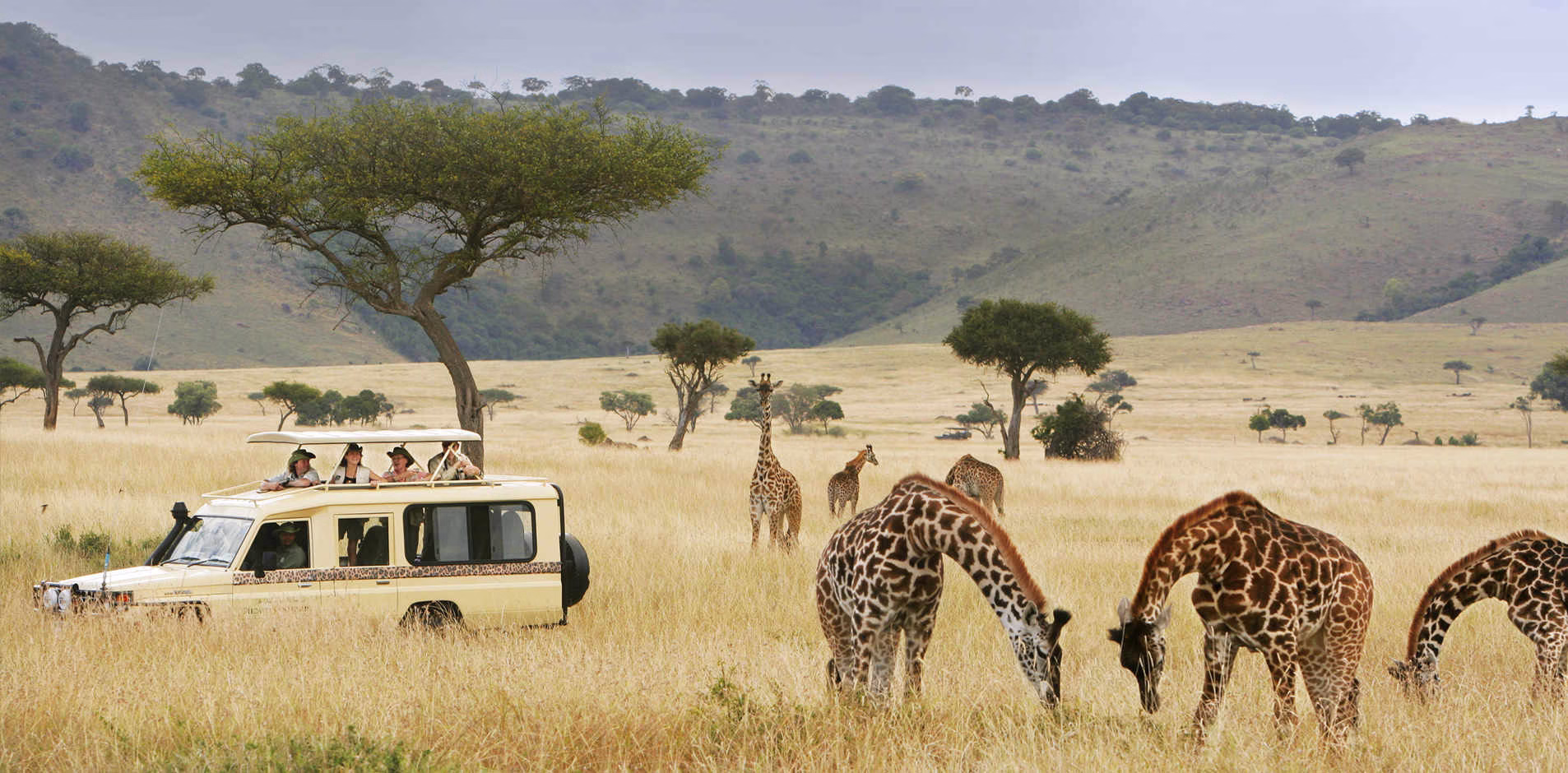 Uganda safaris