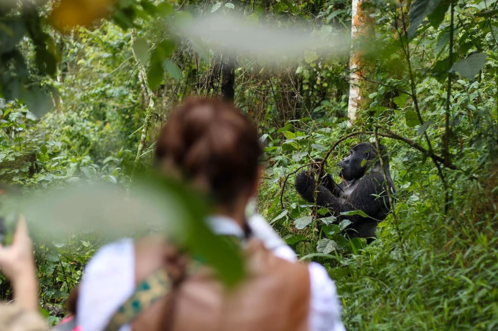 The Ethics of Animal Encounters in Uganda