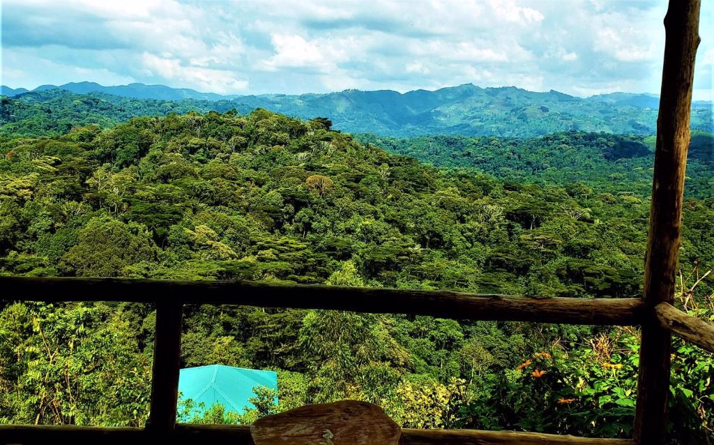 Bwindi Neckview Lodge